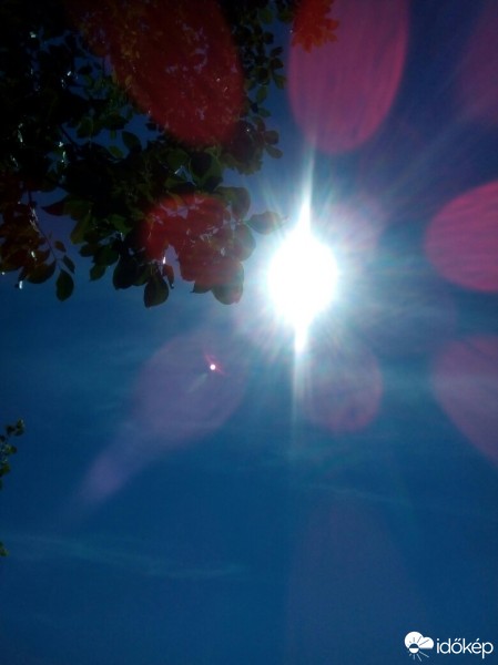 Észlelési fényképek