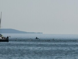 Balatonboglár