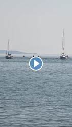 Balatonboglár