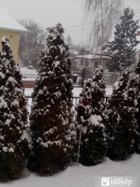 Észlelési fényképek