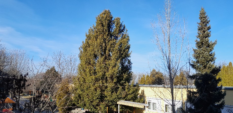 Budapest XII. ker