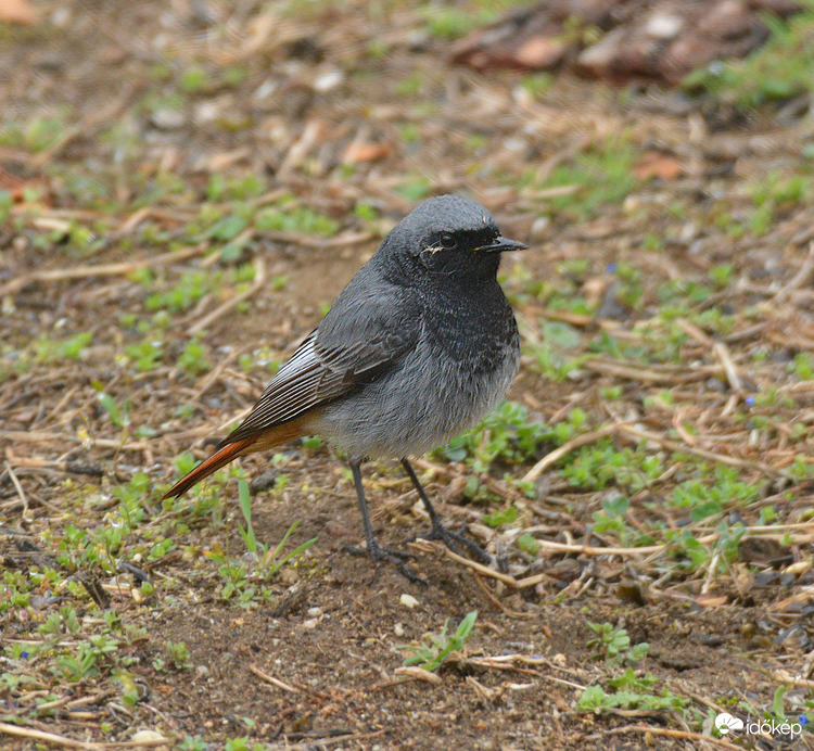 Lent biztonságosabb 