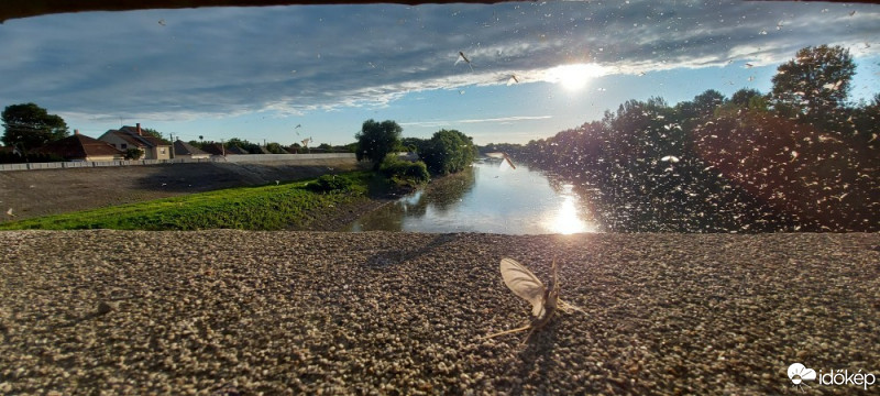 Észlelési fényképek