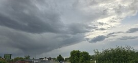 Nyírpazony