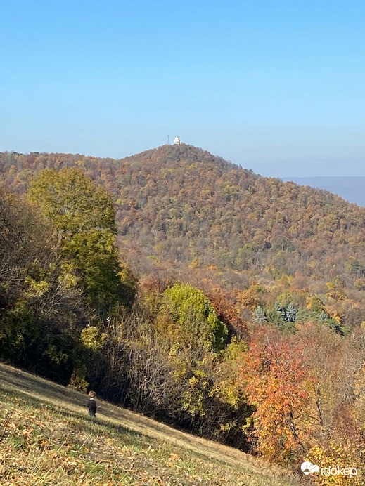 Budapest XII.ker - Széchenyi-hegy