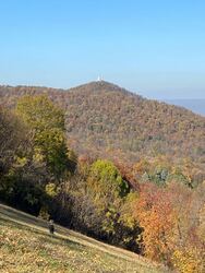 Budapest XII.ker - Széchenyi-hegy