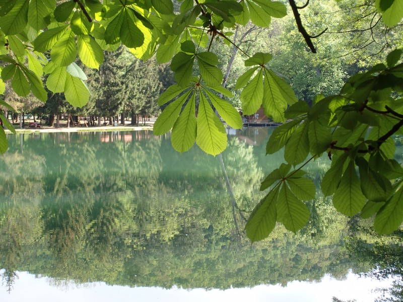 Felsőtárkány