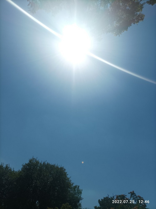 Észlelési fényképek