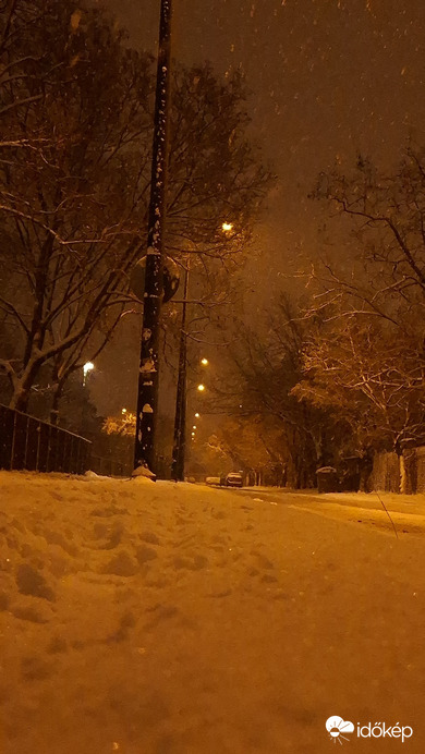 Észlelési fényképek