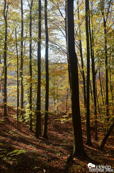 Őszi Bükk I.
