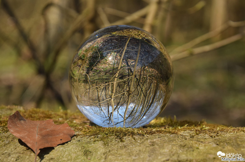 Lensball - Bükkben..