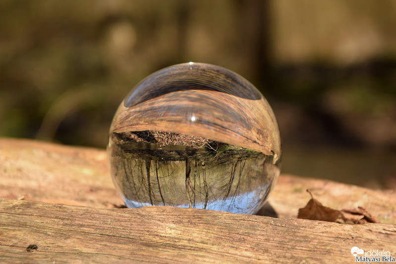 Lensball - Bükkben..