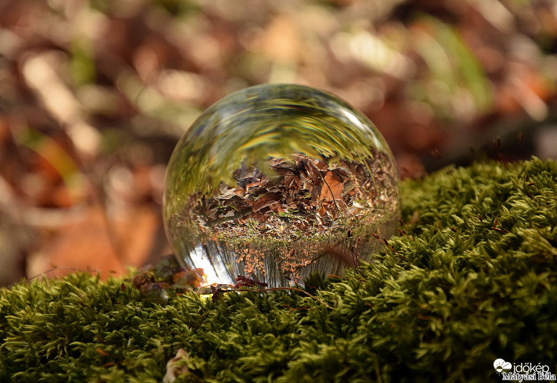 Lensball - Bükkben..
