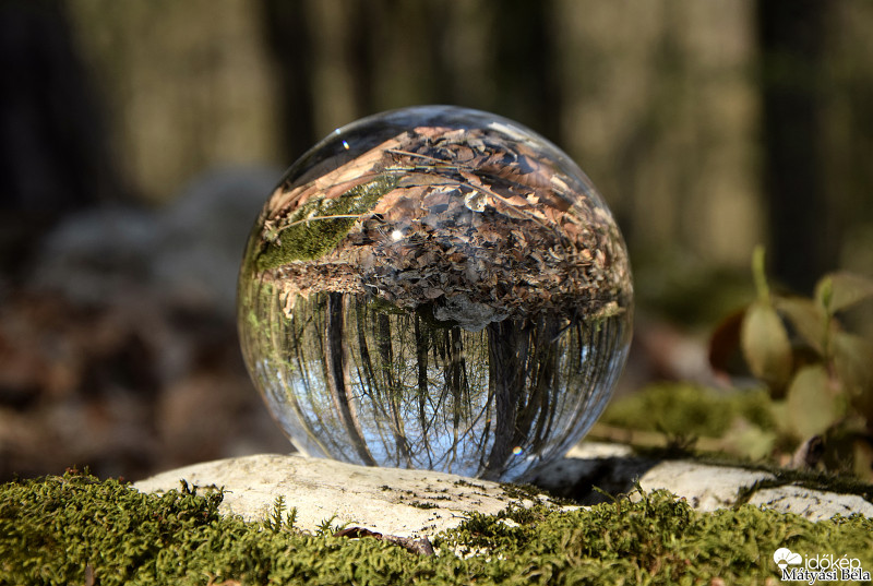 Lensball - Bükkben..