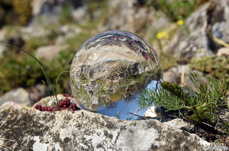 Lensball - Bükkben..