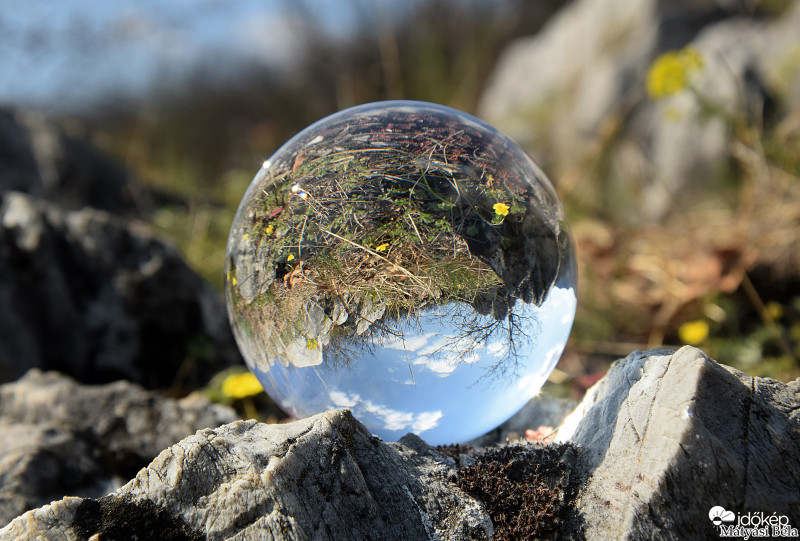 Lensball - Bükkben..