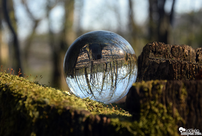 Lensball - Bükkben..