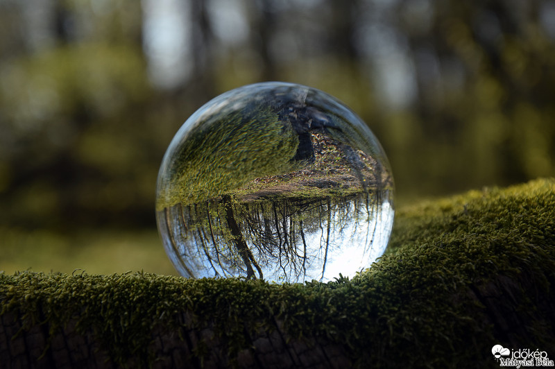 Lensball - Bükkben..