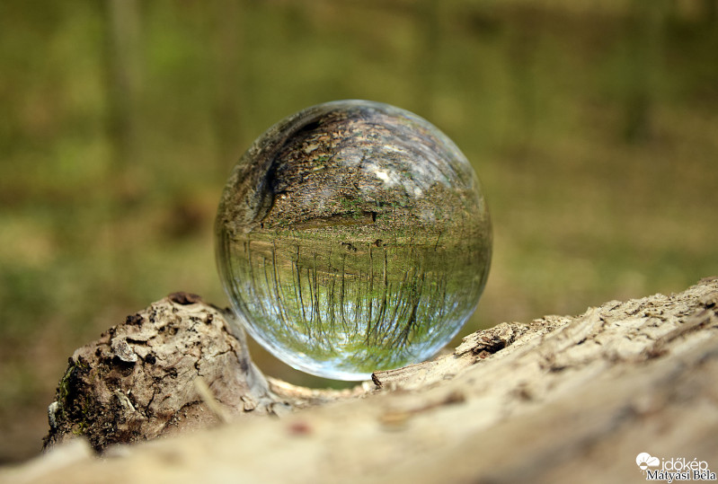Lensball - Bükkben..