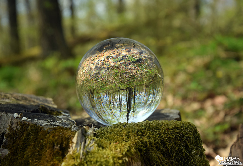 Lensball - Bükkben..