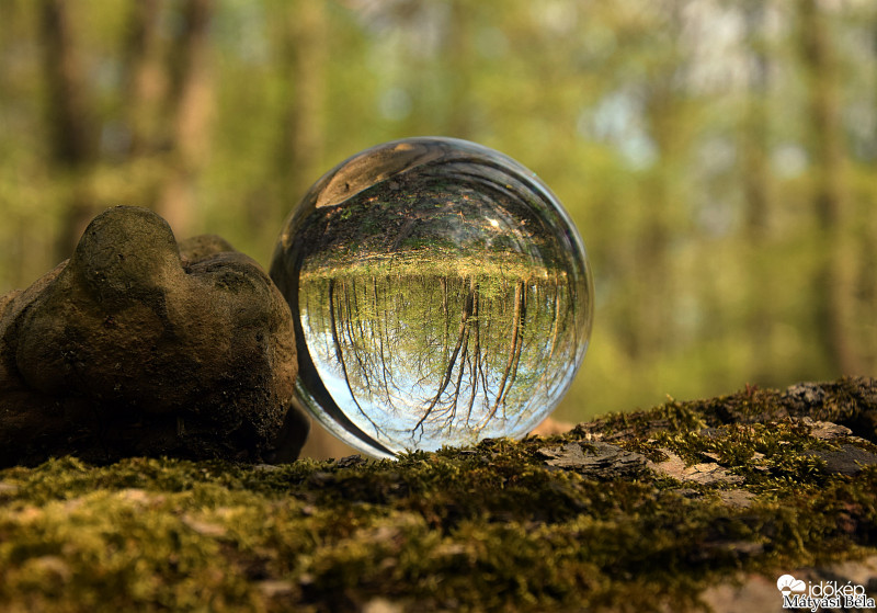 Lensball - Bükkben..