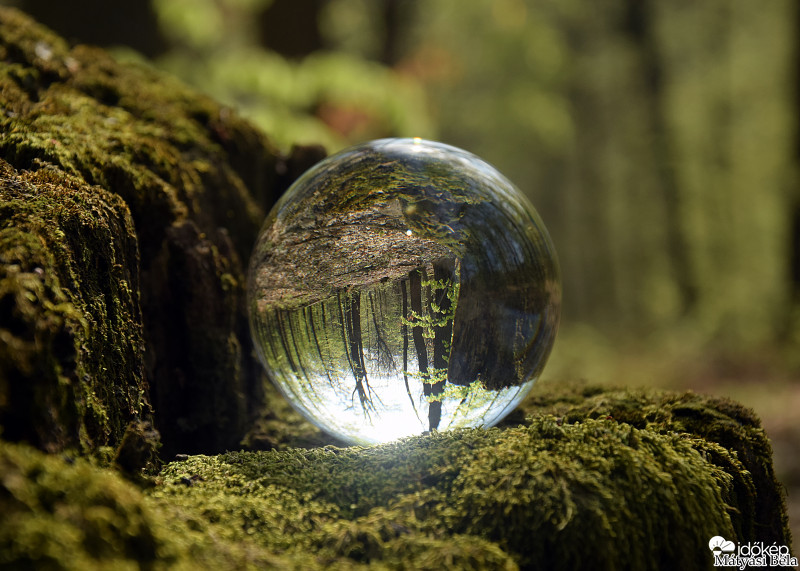 Lensball - Bükkben..
