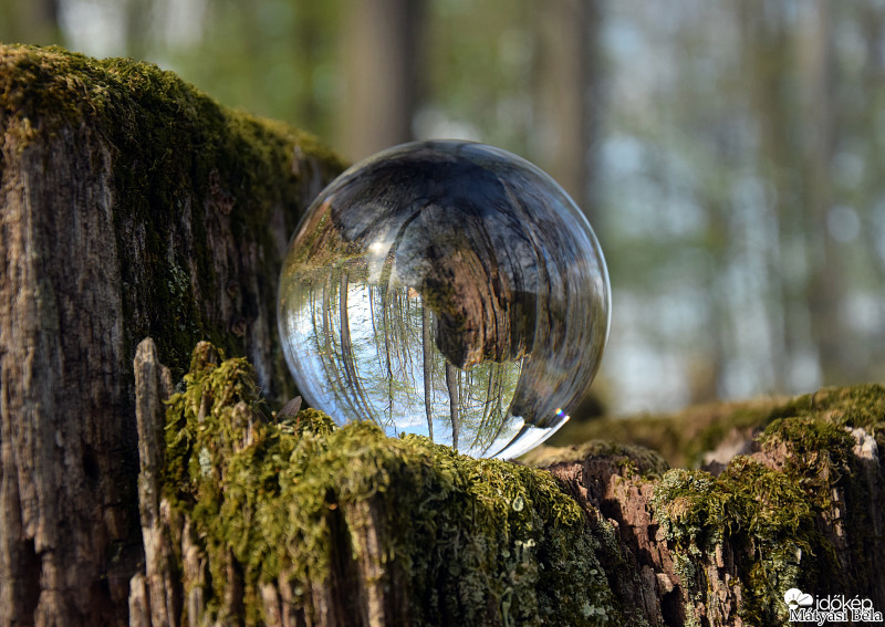 Lensball - Bükkben..