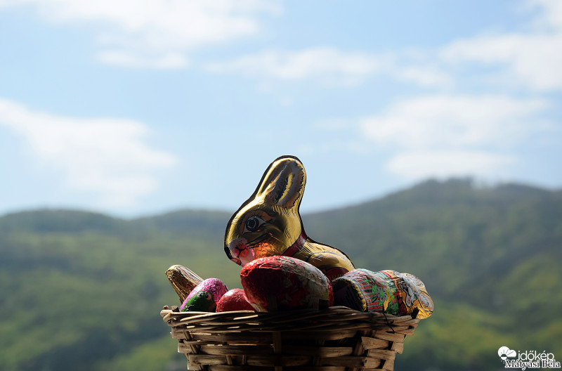 Kellemes Húsvéti Ünnepeket Kívánok Mindenkinek.