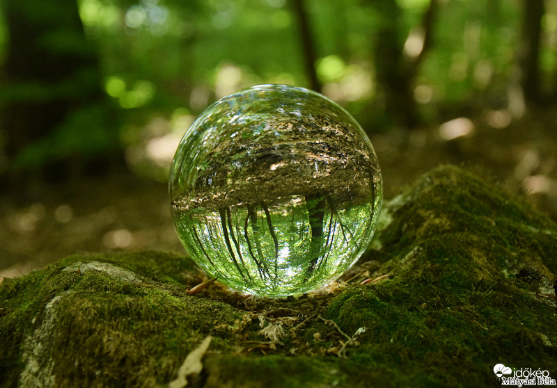 Lensball - Bükkben..