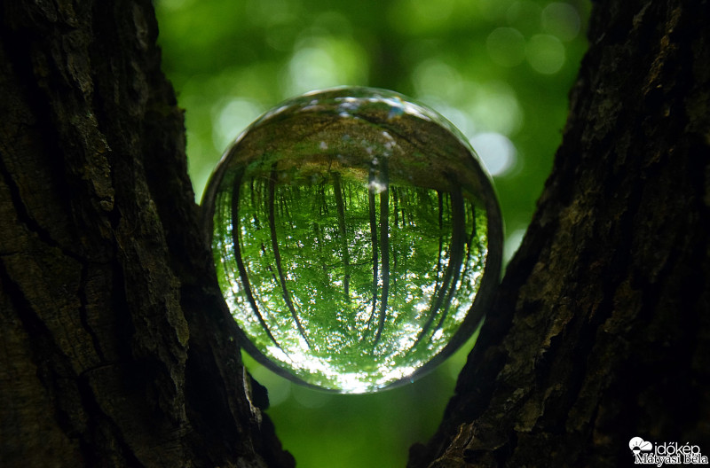 Lensball - Bükkben..