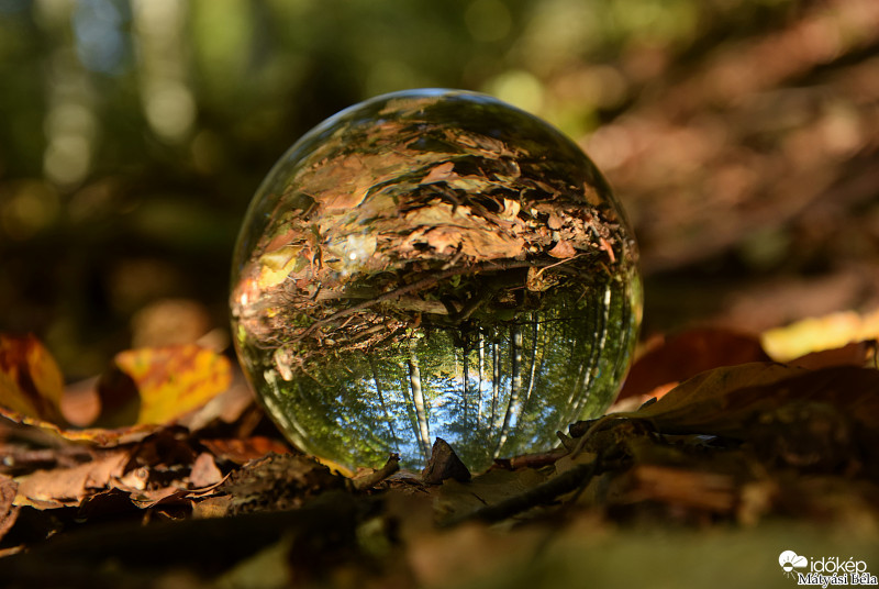 Lensball - Bükkben