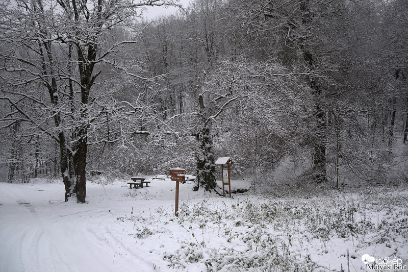 Téli Bükk.