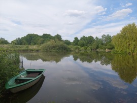 Nyírjákó