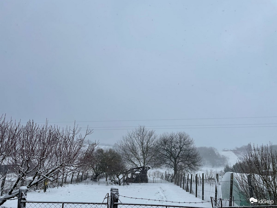 Észlelési fényképek