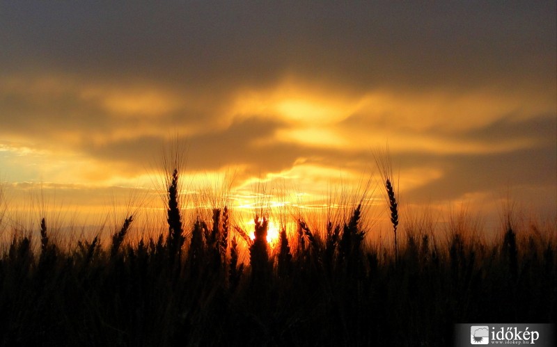 Valamikor június végén