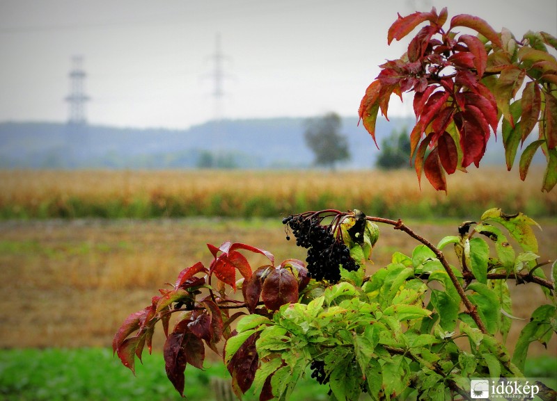 Bátya borongós, esős