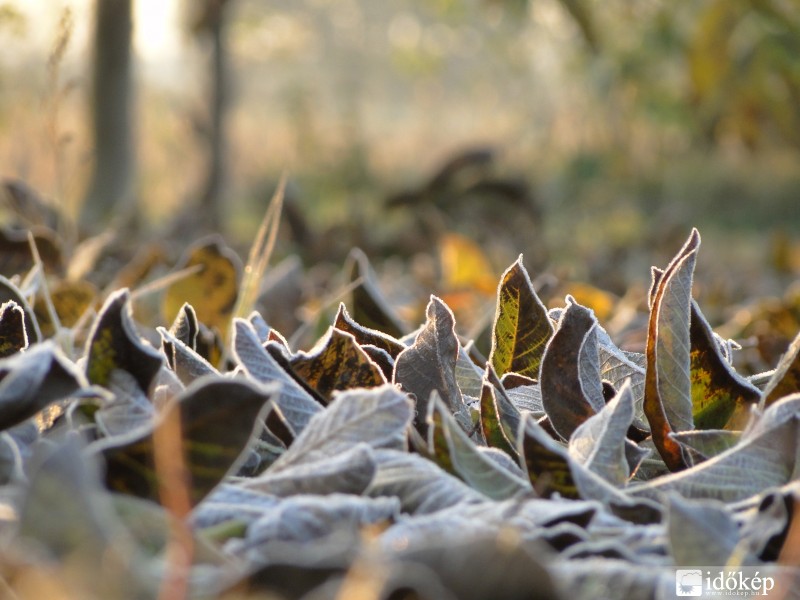 Csípős ,deres reggelel köszöntött a november!