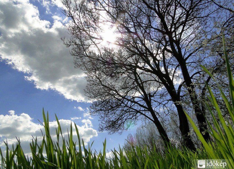 Kissé szeles, kellemes tavaszi idő!