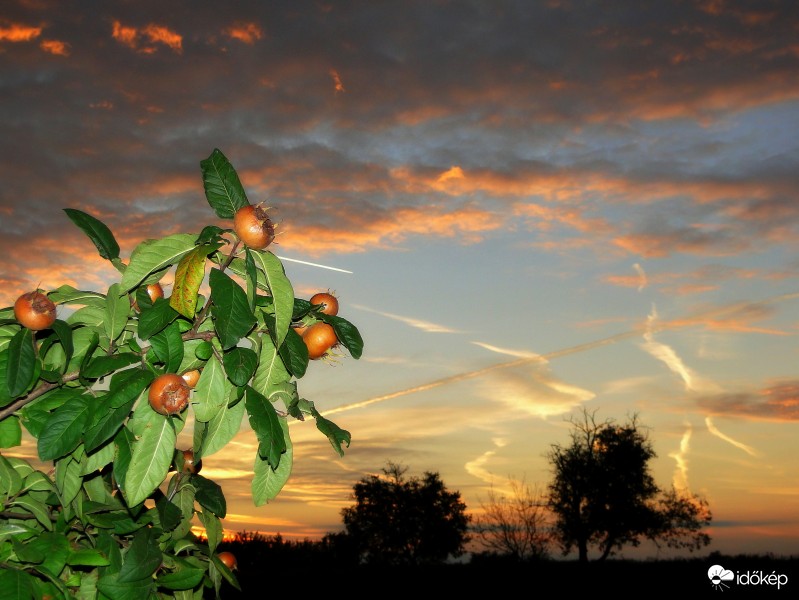 Naspolyás jóreggelt!