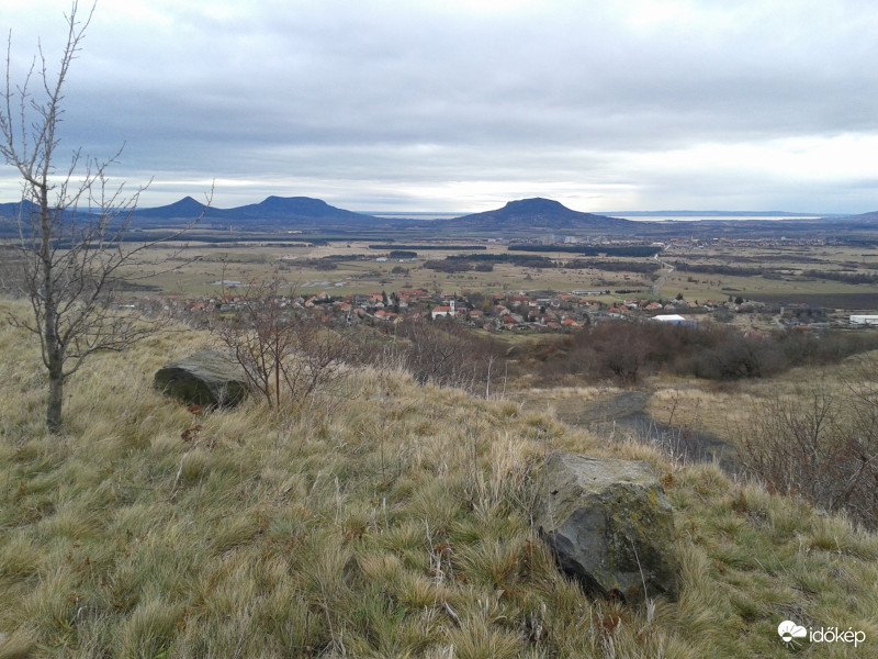 Zalahaláp