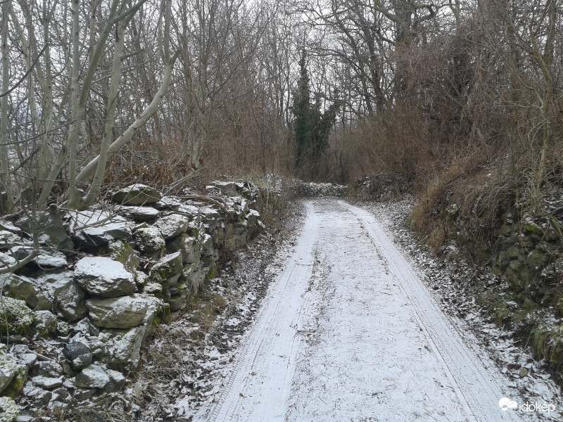 Zalahaláp