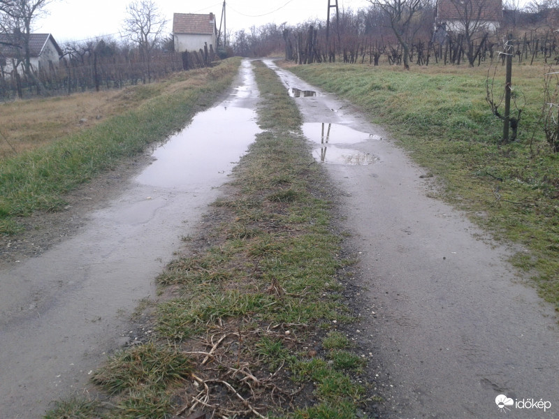 Zalahaláp