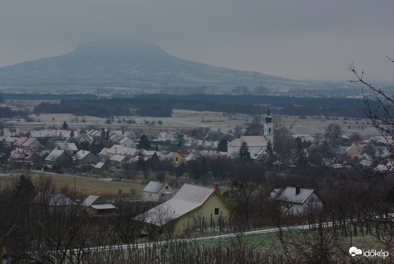 Zalahaláp