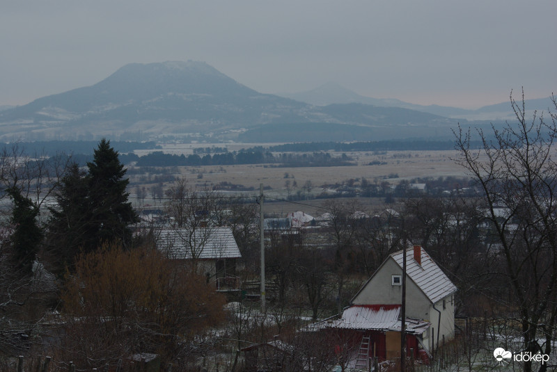 Borult