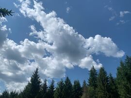 Șicasău