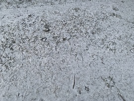 Egy nagyon kevés hó esett 