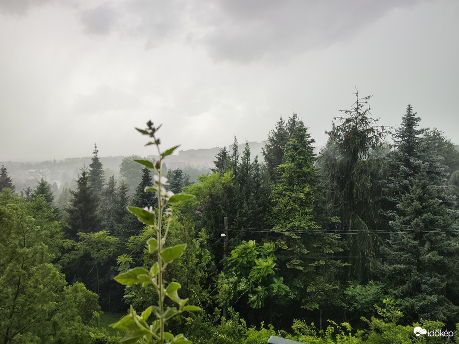 Miskolc
