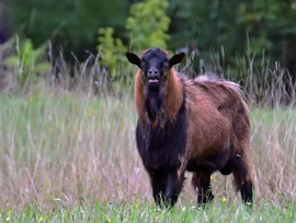 Öööö.. akarom mondani... 