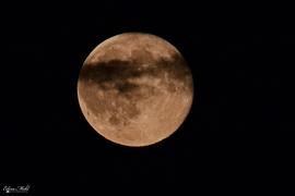 Felhők közt bújkáló Telihold (Hunter Moon) 