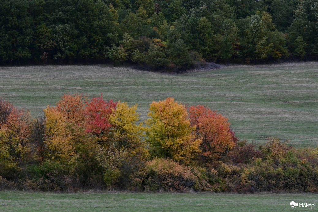 Ősz a völgyben...